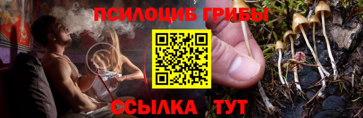 Галлюциногенные грибы Cubensis Ачхой-Мартан
